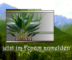 digicube Garten-Forum