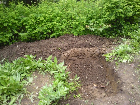 Digicube Garten